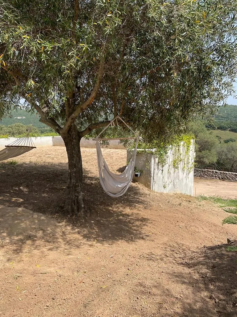 Stazzu Lu Chissoni Villa Luogosanto Nyaraló