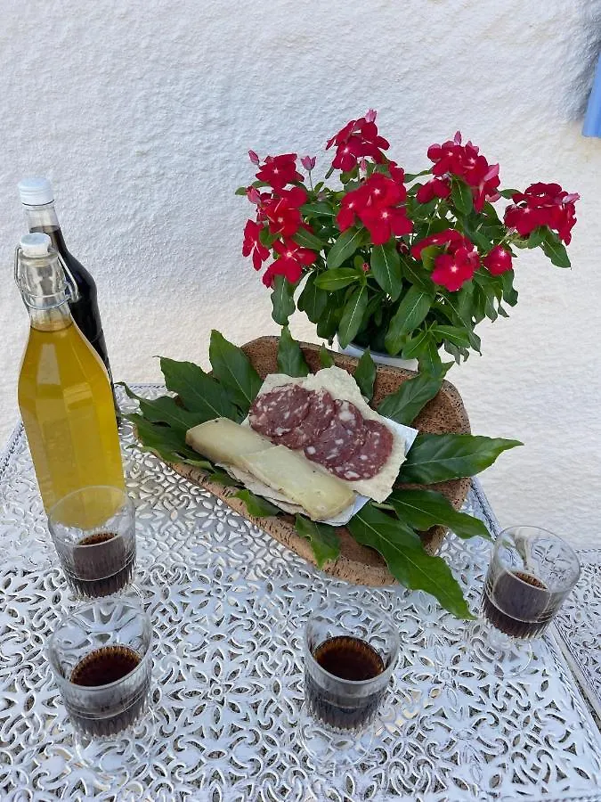 Stazzu Lu Chissoni Villa Luogosanto Holiday home